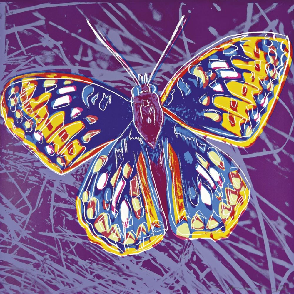 Screenprint Warhol - San Francisco Silverspot (FS II.298)