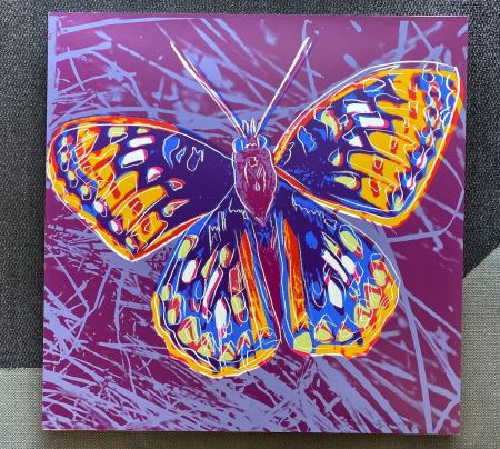 Screenprint Warhol - San Francisco Silverspot (FS II.298)