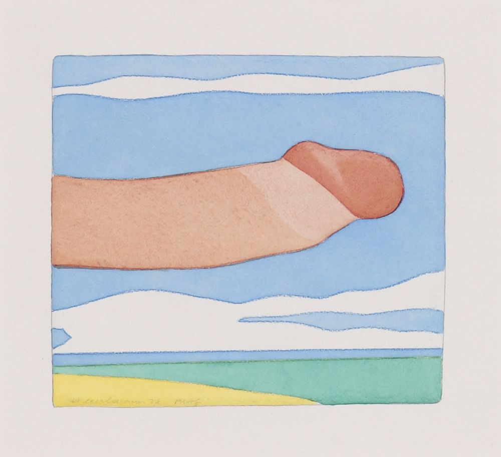 No Technical Wesselmann - Seascape Penis