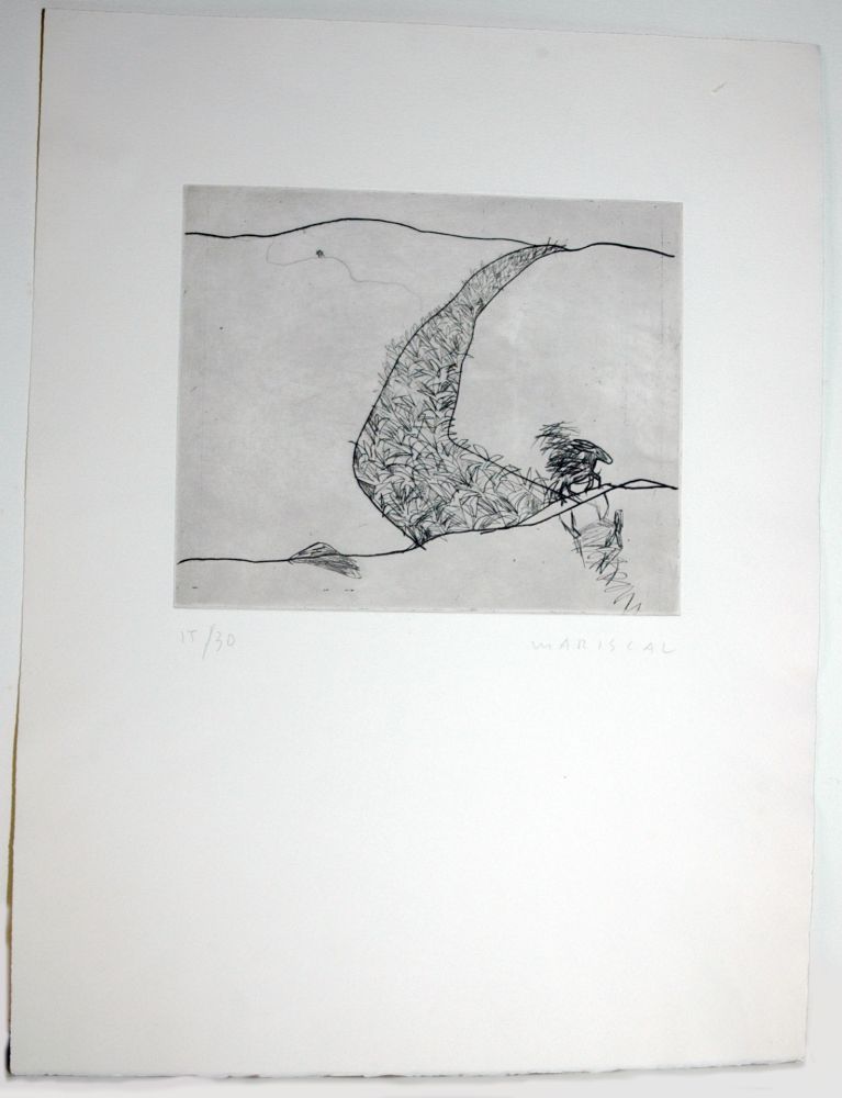 Etching Mariscal - Selva