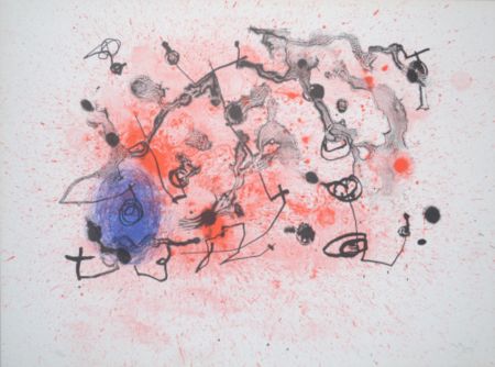Lithograph Miró - Series II, Blue and Red - M291