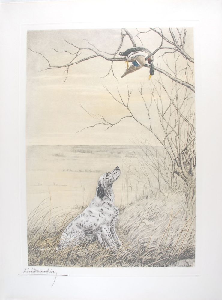 Etching Danchin - Setter et Canard branche - English Setter and Duck in a tree (Original)