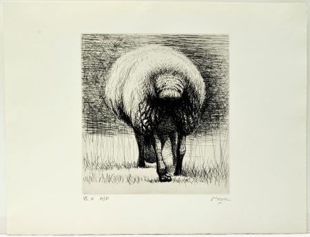 Engraving Moore - Sheep back view