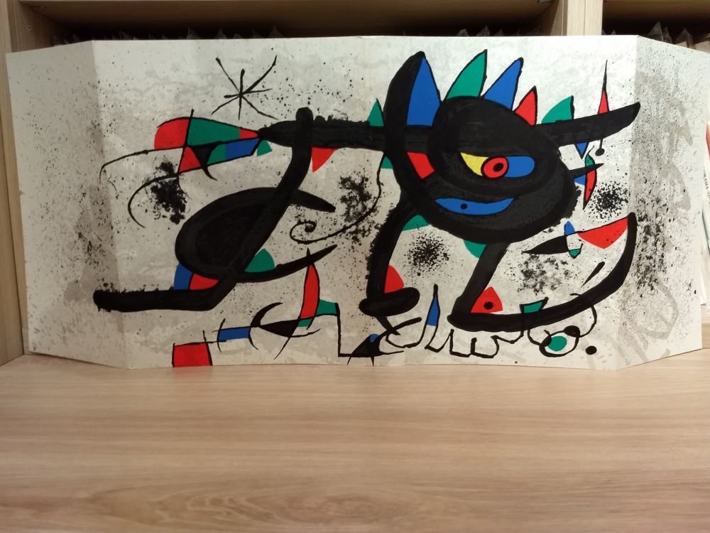 Illustrated Book Miró - Sobreteixims