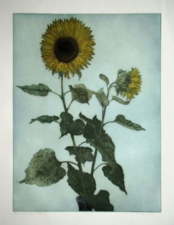 Etching Michelsen - Sonnenblumen