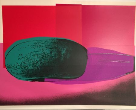 Screenprint Warhol - Space Fruit: Watermelon (FS II.199)