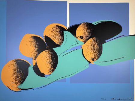 Screenprint Warhol - Space Fruits: Cantaloupes I, II.201 from the Space Fruits: Still Lifes portfolio
