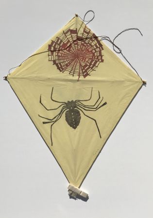 No Technical Toledo - Spider and Web Kite