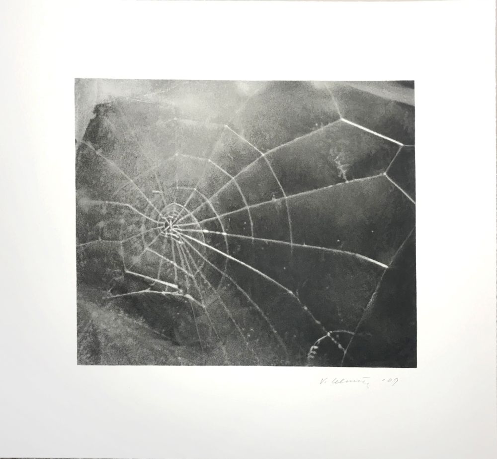 Screenprint Celmins - Spider Web 