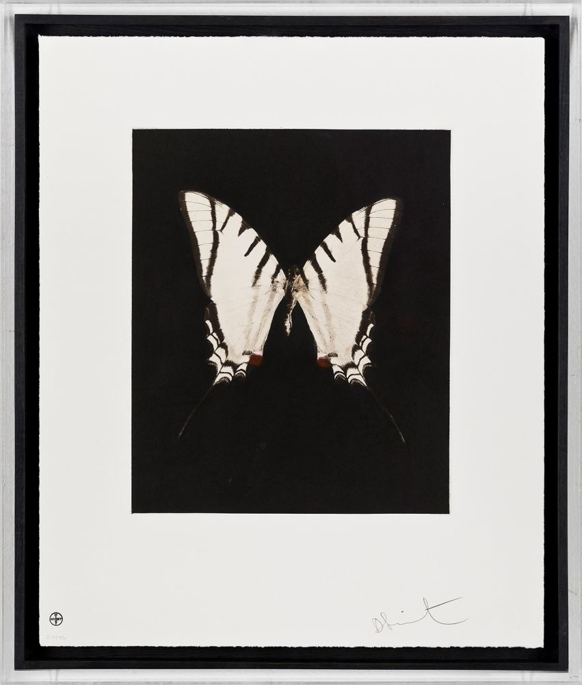 Etching Hirst - Spirit