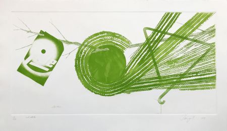 Etching And Aquatint Rosenquist - SPOKES: 2 STATE