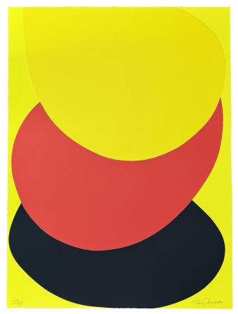 Screenprint Frost -  Suspended Red, Yellow and Black