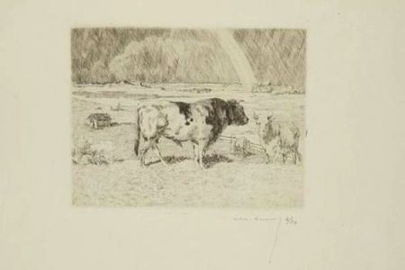 Etching Lunois - Taureau dans un pré / Bull in a Meadow