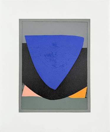 Lithograph Vasarely - Tecoma