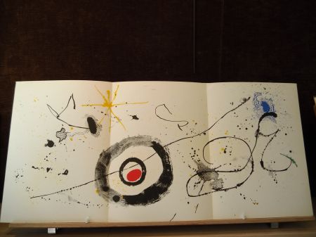 Illustrated Book Miró - Terres de grand feu