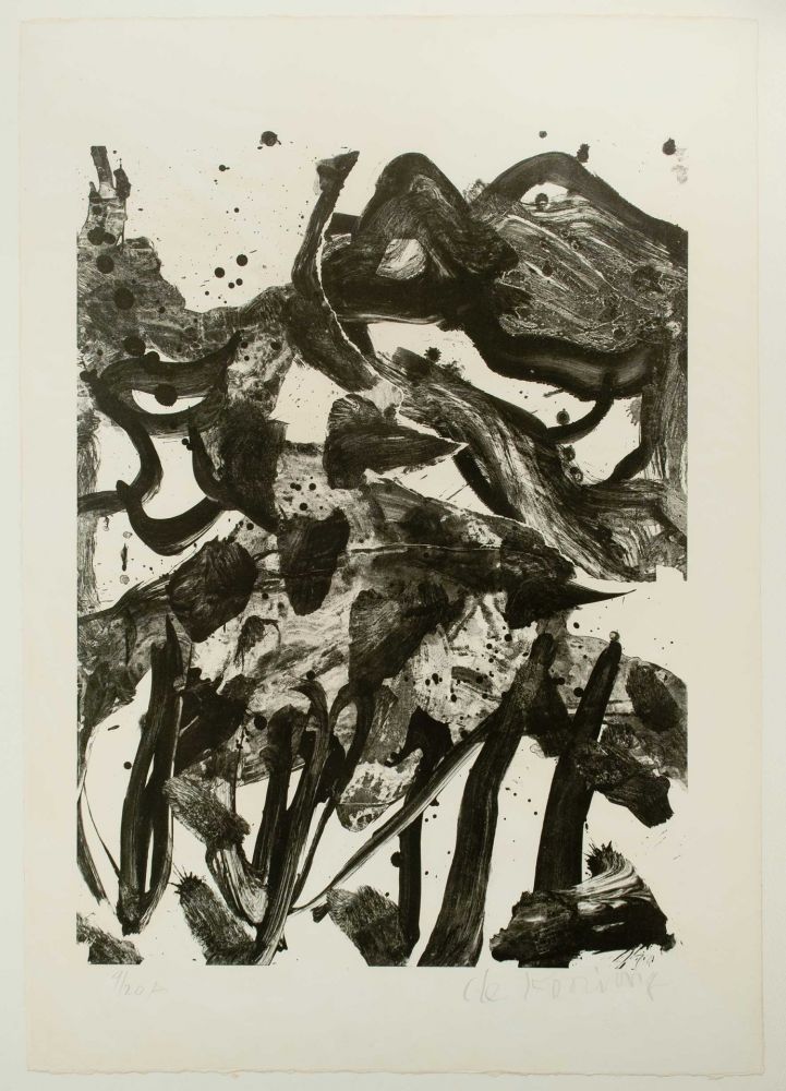 Lithograph De Kooning - The Marshes