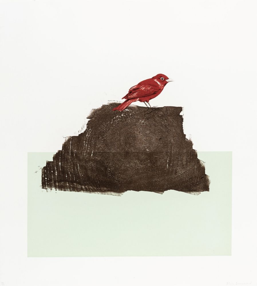 Woodcut Drummond - The Northern Cardinal (or Redbird)
