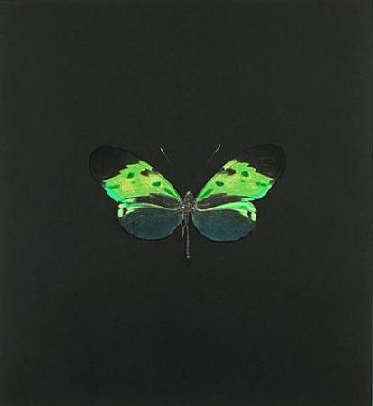 Engraving Hirst - The Souls on Jacob's Ladder Take Their Flight (Small Green)