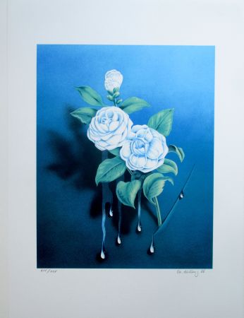 Lithograph Ahlberg - The White Rose