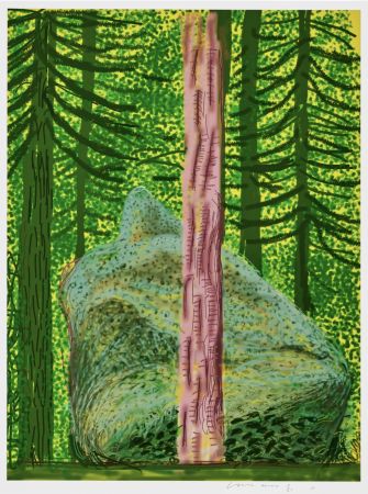 No Technical Hockney - The Yosemite Suite No. 19 is a iPad drawing printed in colour by David Hockney