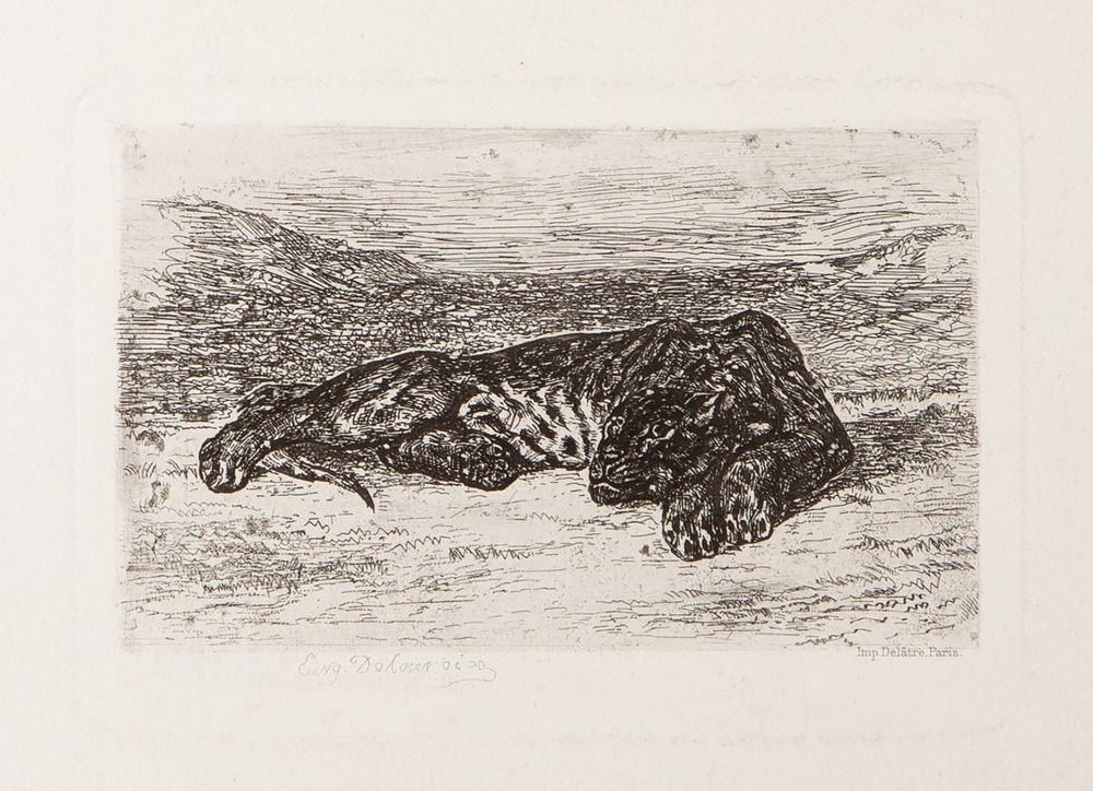 Etching Delacroix - Tiger Sleeping in the Desert