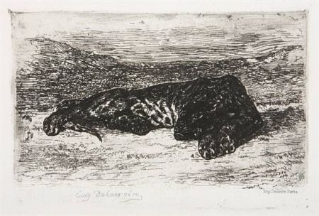 Etching Delacroix - Tigre couché dans le désert