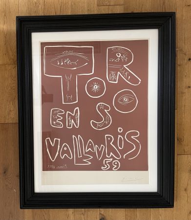 No Technical Picasso - Toros en Vallauris 59