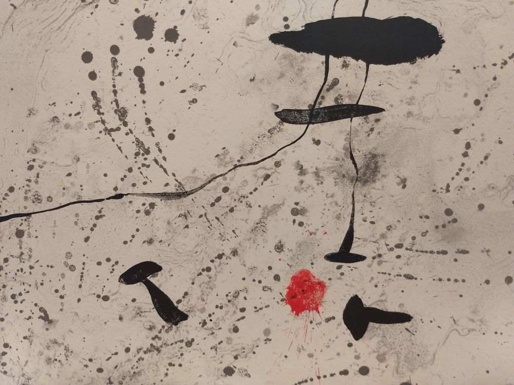 Illustrated Book Miró - Trace Sur l'eau