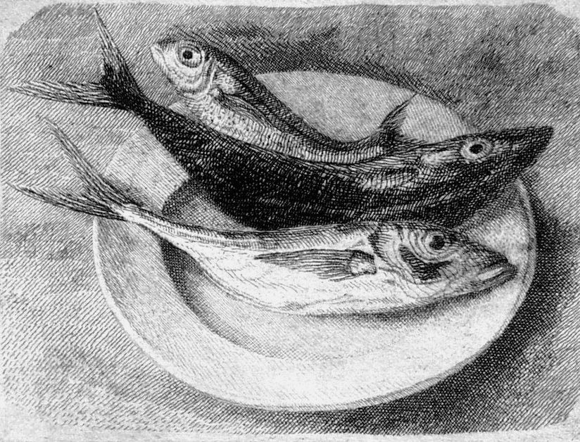 Engraving Mongatti - Tre pesci dell'Adriatico