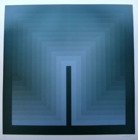Lithograph Bird - Tribute to vasarely 9