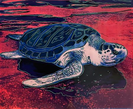 Screenprint Warhol (After) - Turtle