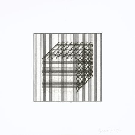 Screenprint Lewitt - Twelve Forms Derived From a Cube 02