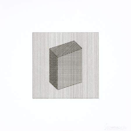 Screenprint Lewitt - Twelve Forms Derived From a Cube 18