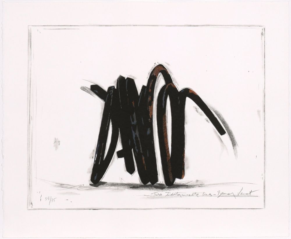 Screenprint Venet - Two indeterminate lines