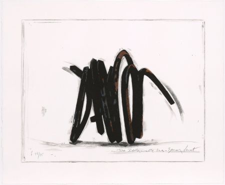 Screenprint Venet - Two indeterminate lines