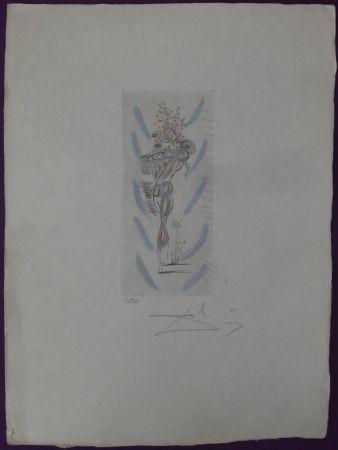 Engraving Dali - Tête d'épines