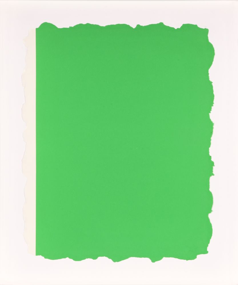 Aquatint Flavin - Untitled, from Sequences - Green