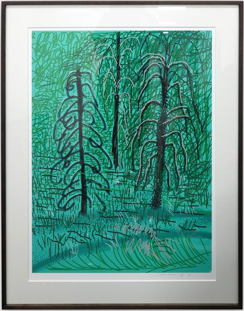 No Technical Hockney - Untitled No.16 from The Yosemite Suite
