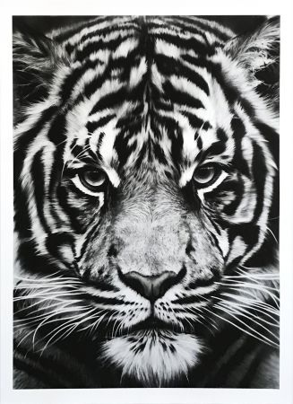 No Technical Longo - Untitled (Tiger)