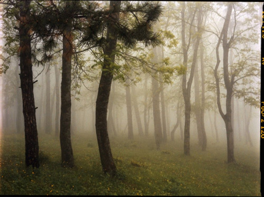 Photography Sitchinava - Upslope Fog in May 3