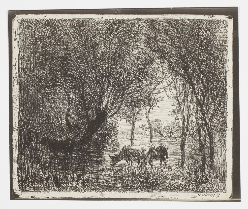 No Technical Daubigny - Vaches sous Bois (Cows in the Woods, Cows under Trees)