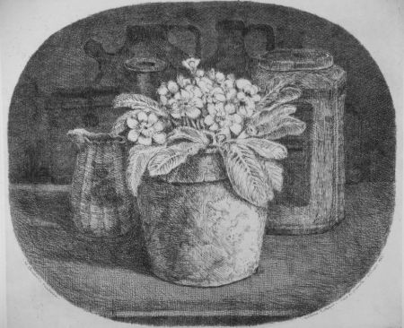 Engraving Cotugno  - Vaso di primule
