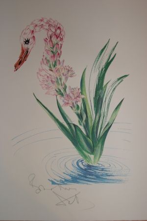 Lithograph Dali - Water-Hybiscus Swan (surrealistic flowers)