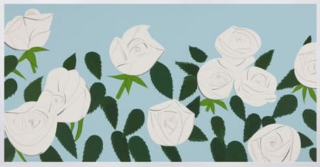 Multiple Katz - White Roses