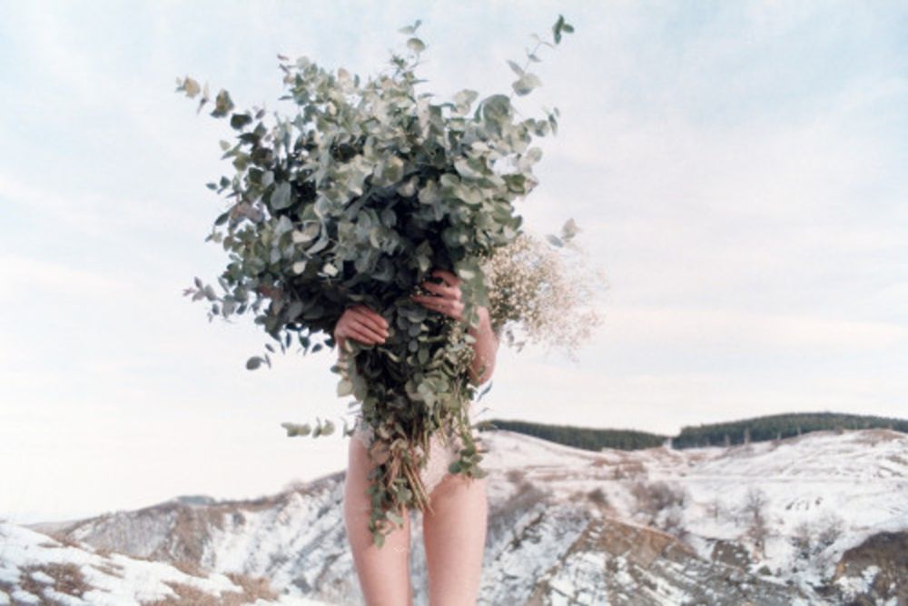 Photography Sitchinava - Winter Bouquet