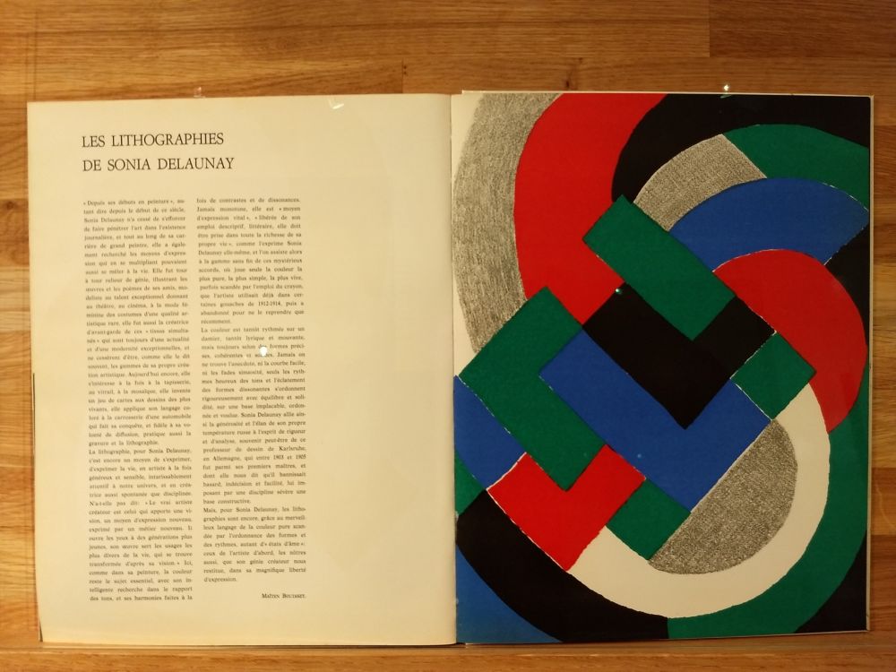 Illustrated Book Delaunay - Xxe No32