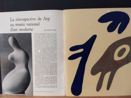 Illustrated Book Arp - Xxe No 19