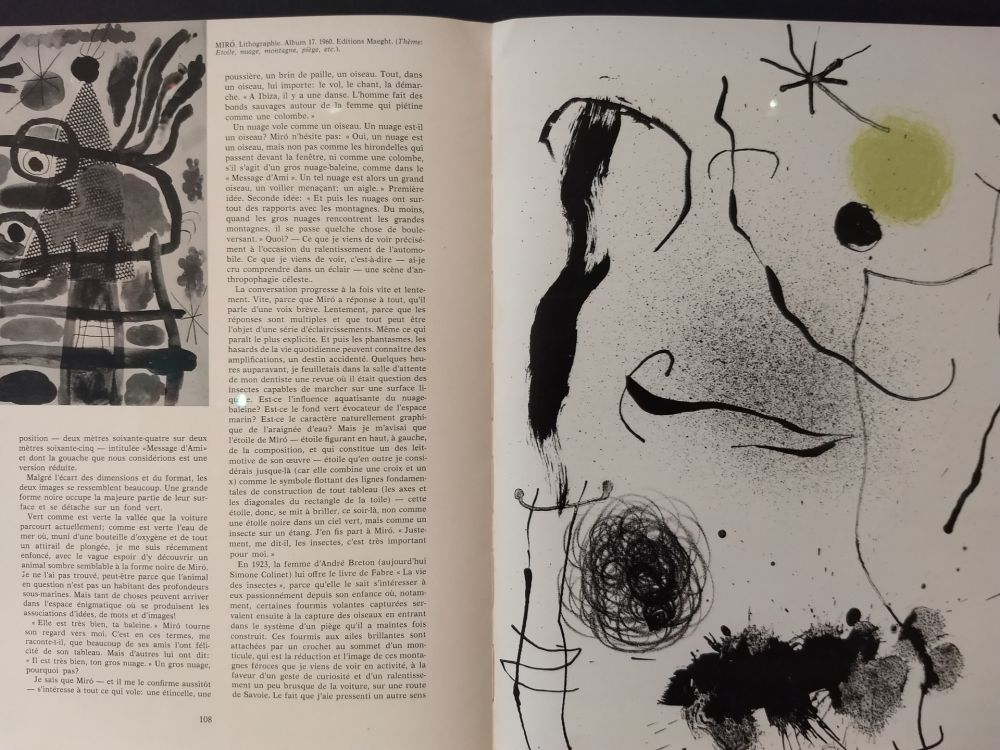 Illustrated Book Miró - XXE No 24