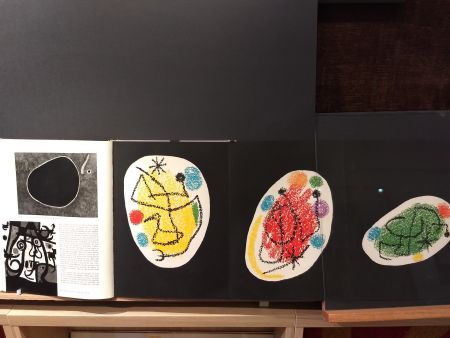 Illustrated Book Miró - Xxe No 31