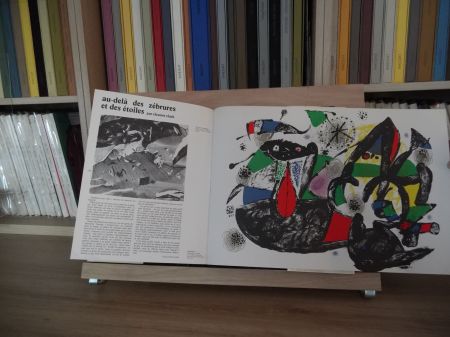 Illustrated Book Miró - Xxe Tanning